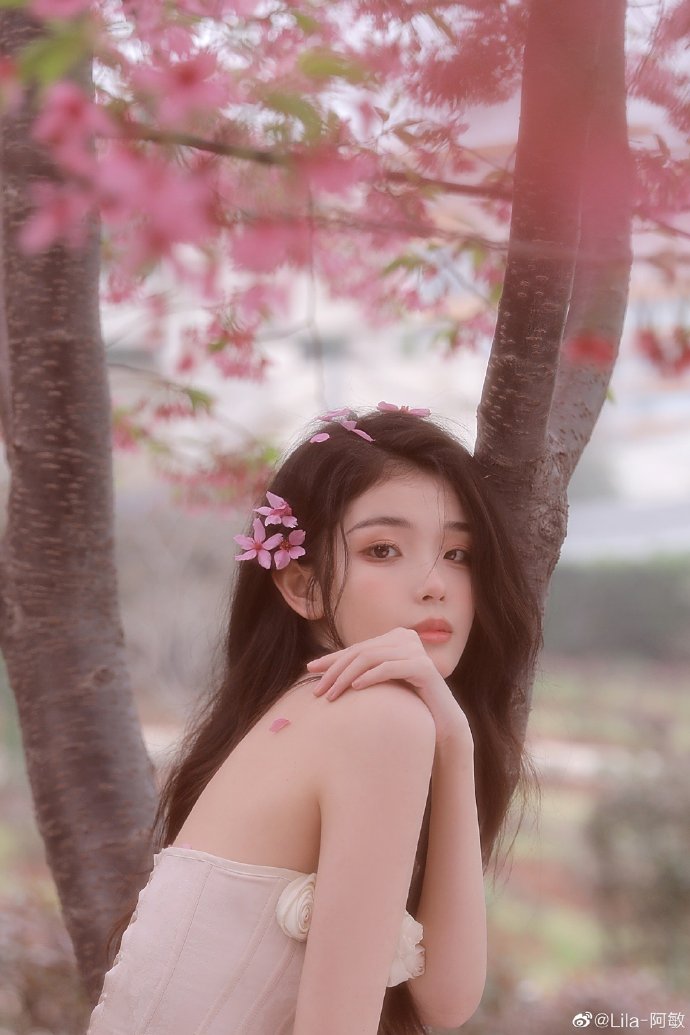 沙丘：预言 封面
